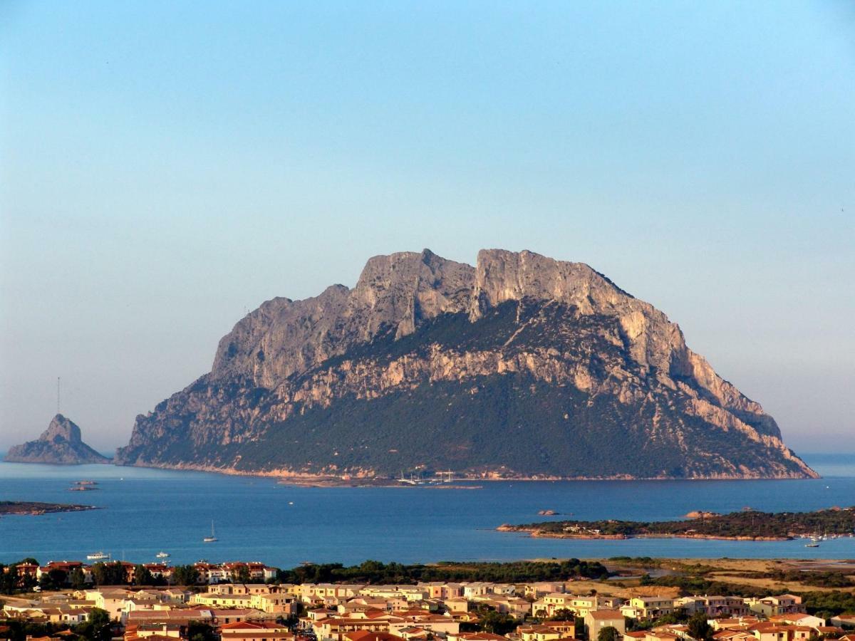 Residence L'Ea Di Lavru - Appartamenti Mono-Bilo-Trilocali ポルト・サン・パーオロ エクステリア 写真
